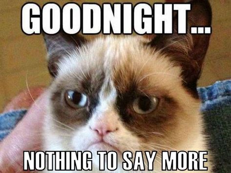 Funny Sunday Memes, Good Night Meme, Memes Work, Sunday Humor, Work Funny, Good Night Funny, Happy Sunday Quotes, Grumpy Cat Humor, Cat Parenting