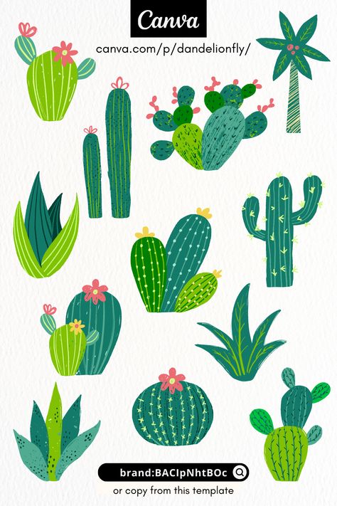 Green desert cactus cacti. Canva elements ideas canvacowboy #canvakeywordideas #canvaelementfree🍁 Cactus Illustration Design, Element Reference, Cacti Illustration, Canva Elements Ideas, Canva Project, Children's Book Layout, Desert Green, Canva Etsy, Cactus Illustration