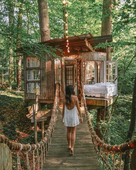 Imgur Post - Imgur Cool Tree Houses, Home Improvement Loans, Tree House Designs, Bohemian Lifestyle, Small Cabin, Tiny House Cabin, Tree Houses, Bohemian Decor, House Designs