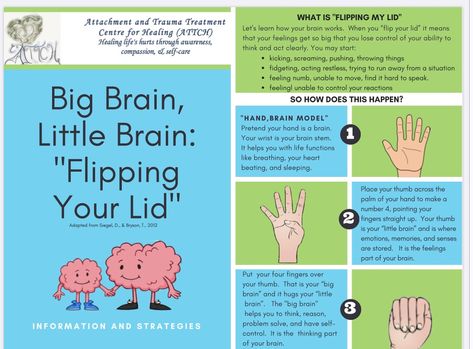 As I would like to work with children, I think the simplicity of this pin would help to explain the concept of 'flipping your lid'. Mindsight Daniel Siegel, Flipping Your Lid, Flip Your Lid, Daniel Siegel, Window Of Tolerance, Soft Voice, Whole Brain Child, Brain Models, Conscious Discipline