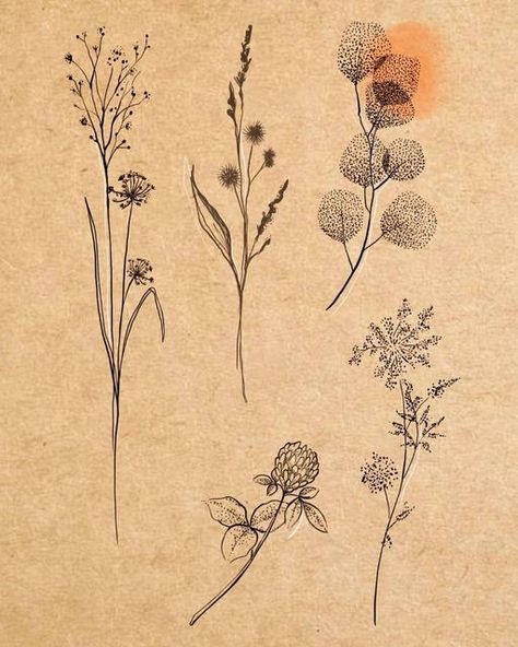 Dried Herbs Tattoo, Wild Grasses Tattoo, Dotwork Floral Tattoo, Grasses Tattoos, Herbarium Tattoo, Ornamental Botanical Tattoo, Handpoke Flower Tattoo, Fineline Botanical Tattoo, Botanical Line Tattoo