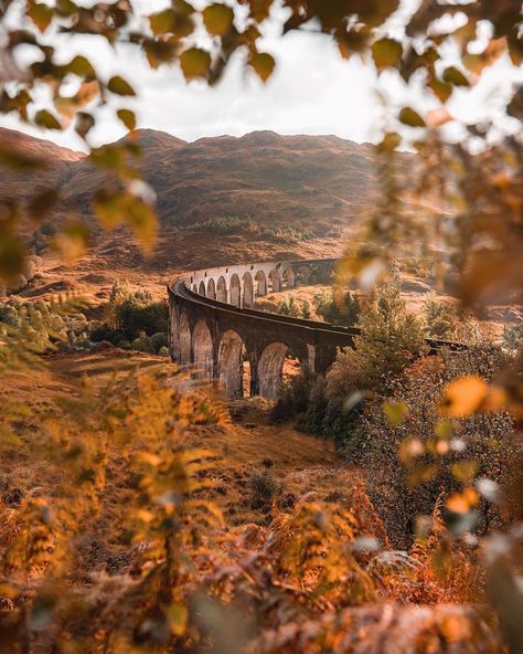 Patiently waiting for the Hogwarts Express at Glenfinnan Viaduct 🚂 Gryffindor Aesthetic, Hufflepuff Aesthetic, Harry Potter Wall, Filmy Vintage, Images Harry Potter, Hogwarts Aesthetic, Harry Potter Houses, Middle Of Nowhere, Harry Potter Pictures