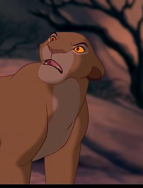 Sarabi Lion King, Lion King Sarabi, Lion King 1 1/2, King Pictures, Lion King Timon, Young Simba, Simba Lion, Lion King 1, Lion King Pictures