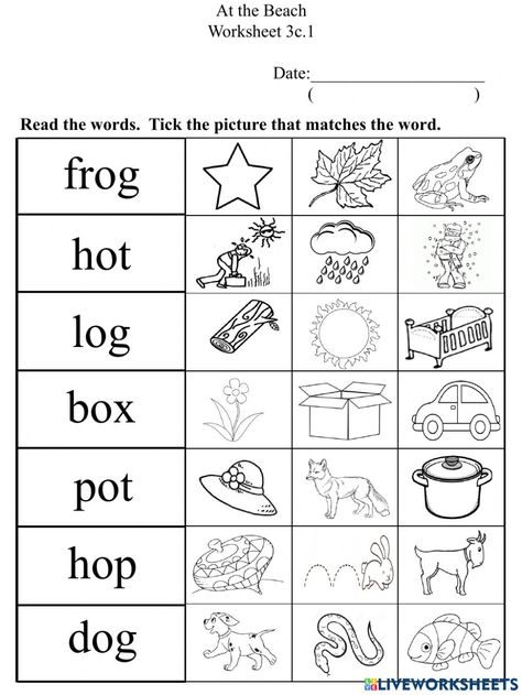 Short Vowel O Words, Cvc O Words Worksheet, O Words Worksheet, Short O Worksheets, Short O Words, Words Worksheet, O Words, Short O, 2nd Grade Worksheets