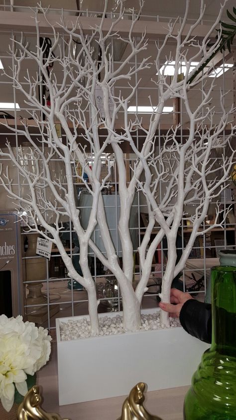 Tree Branch Decor Diy, Takken Decor, Tree Branch Decor, Candy Land Christmas Door, Candy Land Christmas Decorations, Candy Land Christmas Decorations Diy, Candy Land Christmas Tree, Candy Land Christmas Decorations Outdoor, Deco Nature