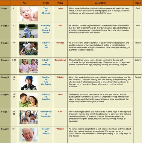 Erik Erikson's Stages Of Psychosocial Development, Erik Erikson Stages Human Development, Erik Erikson Quotes, Psychosocial Theory, Erickson Stages Of Development, Eriksons Stages Of Development, Stages Of Psychosocial Development, Psychosocial Development, Stages Of Human Development