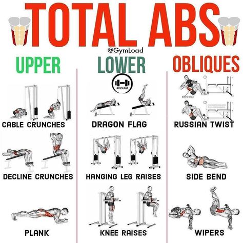 gym/workout/diet on Instagram: “@fitness_._tips TOTAL ABS 💪🔥 SAVE THIS POST FOR LATER! 📥📥 👉 Follow @fitness_._tips for more amazing daily workout content! 💪 Abs are…” Core Day Workout Gym, Abs Day Workout Gym, Ab Day Workout, Full Ab Workout, Abs Day, Total Abs, Work Out Plan, Gym Workout Plan, Workout Plan For Men