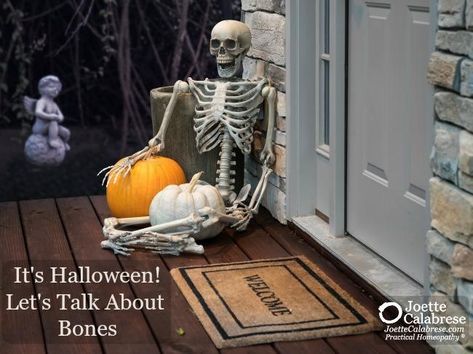 The decorative skeletons I’ve been seeing everywhere got me thinking … what better time than now to talk about our bones? Jar Decoration Ideas, Black Ghost, Skull Rock, Funny Logo, Haunted House Decorations, Halloween Door Mat, House Front Door, Front Door Mats, Halloween Decorations Indoor