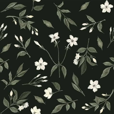 Jasmine Flowers Illustration, Jasmine Flower Watercolor, Jasmine Flower Aesthetic Wallpaper, Jasmine Flower Illustration, Jasmine Flower Art, Jasmine Flower Aesthetic, Jasmine Illustration, Jasmine Flower Drawing, Aesthetic Drawings