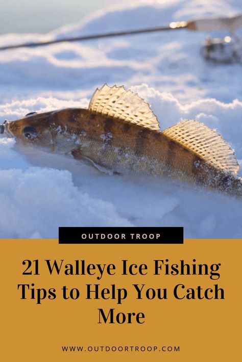 21 Walleye Ice Fishing Tips to Help You Catch More – Outdoor Troop Ice Fishing Humor, Ice Fishing Walleye, Ice Fishing Diy, Ice Fishing Shack, Walleye Fishing Tips, Ice Fishing Tips, Ice Fishing Gear, Ice Fishing Lures, Fishing Shack