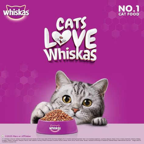 Unlock the Secret to a Happy, Healthy Cat with @whiskasindia Tuna! Whiskas Dry Cat Food for Adult Cats (1+ Years), Tuna Flavour, 20 kg https://amzn.to/4cBrSCW Whiskas Cat Food, Balanced Nutrition, Healthy Cat, Dry Cat Food, Cat Feeding, Essential Nutrients, Chicken Flavors, Cat Pet Supplies, Happy Healthy