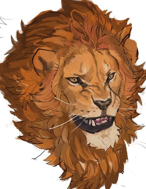 Lion Anatomy, Lion Head Drawing, Lion Face Drawing, Big Cats Drawing, Lion Drawing, Animal Drawings Sketches, Big Cats Art, Human Drawing, Anatomy Sketches