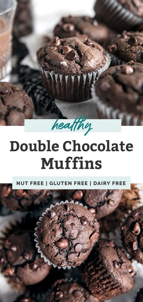 Applesauce Chocolate Chip Muffins, Healthy Chocolate Chip Muffins, Gluten Free Chocolate Muffins, Healthy Chocolate Muffins, Double Chocolate Chip Muffins, Dairy Free Recipe, Healthier Treats, Chocolate Muffin Recipe, Double Chocolate Muffins