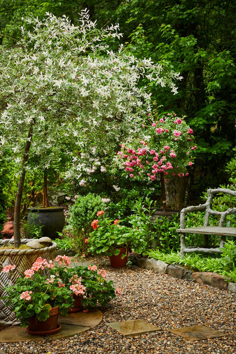 Unlock the secrets of crafting a romantic garden with insights from renowned designer and author, James Farmer! From the timeless allure of his Georgia garden "Farmdale" to the rustic romance of "Joe Pye Cottage" in North Carolina, James shares his top tips for cultivating a garden with the romantic trend adapted to fit our modern times.

Photos by Emily Followill Photographer James Farmer Garden, Cottage Backyard Garden, Small Secret Garden Ideas Backyards, Wild Garden Ideas, Modern Cottage Garden, Ranch Garden, Garden Potager, Garden Getaway, French Cottage Garden