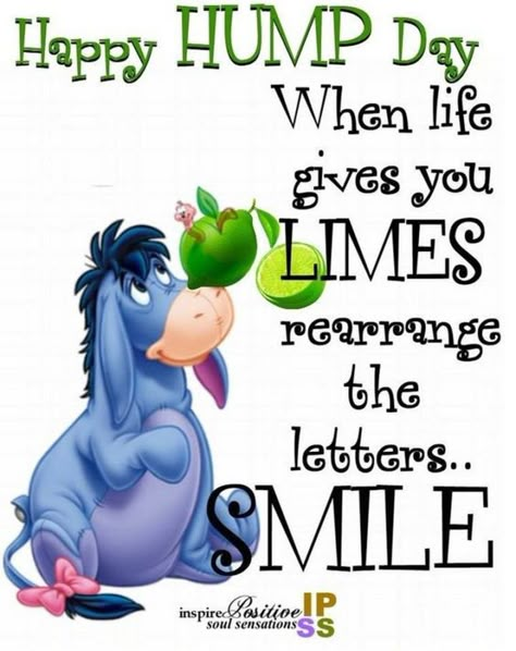 65 Happy Wednesday Quotes - "Happy Hump Day. When life gives you LIMES, rearrange the letters…SMILE." - Unknown Happy Hump Day Quotes, Hump Day Quotes, Wednesday Morning Quotes, Eeyore Quotes, Pooh Pictures, Wednesday Humor, Happy Wednesday Quotes, Weekday Quotes, Wednesday Quotes