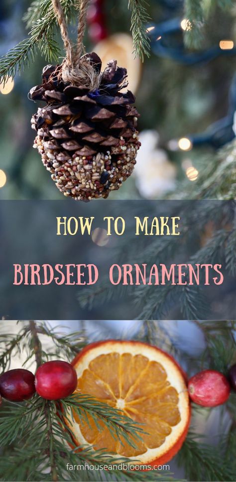 two pictures of homemade birdseed ornaments in a tree Birdseed Ornaments Recipe, Bird Food Ornaments, Christmas Bird Ornaments, Bird Seed Ornaments Recipe, Edible Ornaments, Pathway Design, Seed Ornaments, Birdseed Ornaments, Outdoor Tree Decorations