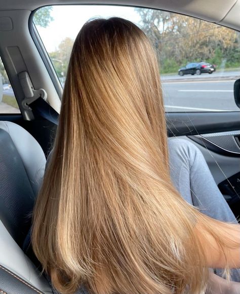 Gold Blonde Hair, Golden Blonde Hair Color, Warm Blonde Hair, Rambut Brunette, Summer Blonde Hair, Honey Hair Color, Brown Hair Inspo, Golden Blonde Hair, Dirty Blonde Hair