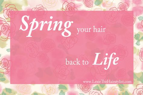 spring your hair back to life beauty quote Quotes For Spring, Cosmos Quotes, Video Cars, Hair Salon Quotes, Beauty Quote, Your Hair, Cars Lamborghini, Salon Quotes, Beauty Video Ideas