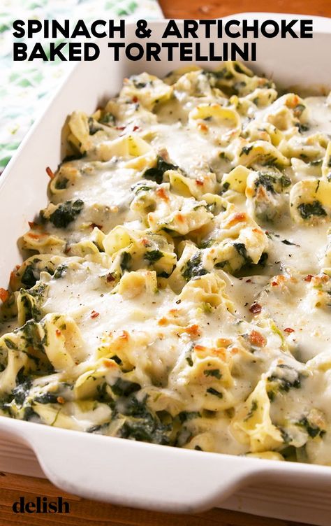 Artichoke Tortellini, Chicken Tortellini Alfredo, Tortellini With Sausage, Baked Tortellini Recipes, Baked Tortellini, Tortellini Alfredo, Tortellini Recipe, Spinach Tortellini, Tortellini Bake