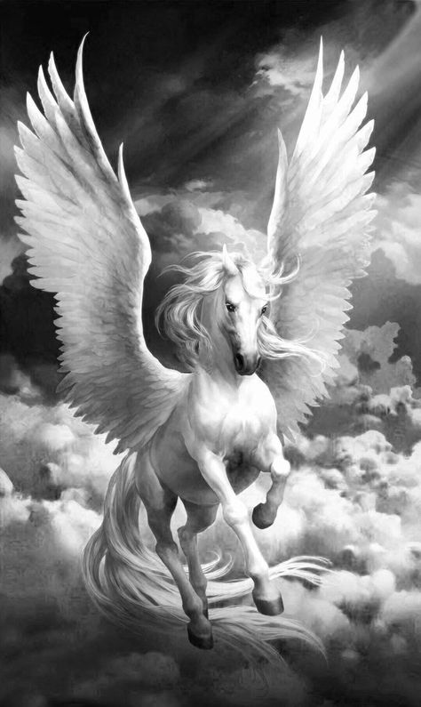 Pegasus Tattoo, Pegasus Art, Greek Mythology Tattoos, Unicorn Pictures, Winged Horse, Fantasy Horses, Mythology Tattoos, Horse Artwork, Horse Tattoo