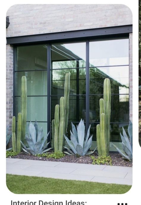 Desert Backyard, Windows Black, Front Yard Decor, Modern Front Yard, Desert Garden, Black Windows, Yard Design, House Landscape, Front Yard Landscaping Design