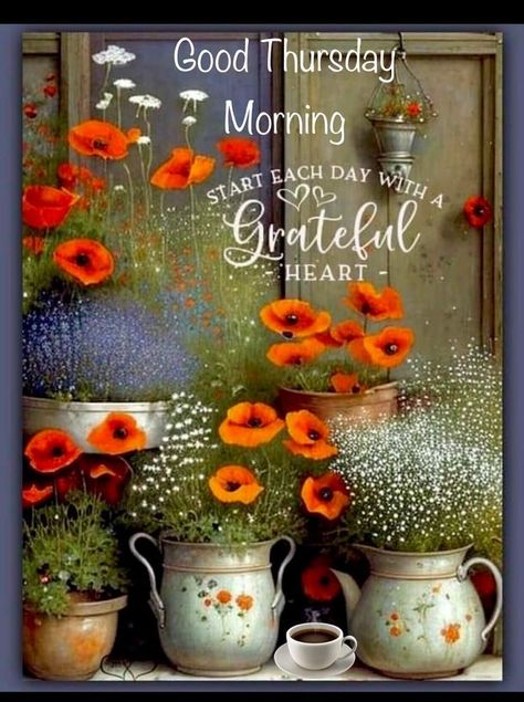 Tumblr, Flowers, Good Thursday, Gods Girl, Thursday Morning, Grateful Heart, Morning Pictures, Good Morning, Twitter