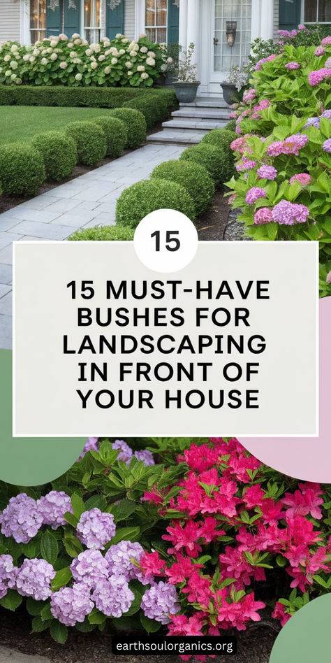 Discover the perfect bushes to beautify the front of your house. These 15 versatile options bring elegance and charm to your landscaping. Perfect for boosting curb appeal! 🌷 #GardeningTips #FrontYardDesign Landscape For White House, Ranch Front Landscaping Ideas, Front Of House Landscape Ideas Hydrangea, Front Yard Landscaping New York, Stunning Front Yard Landscaping, Simple Landscaping Front Yard Budget, Zone 4 Landscaping Front Yards, Simple Front Landscaping, Small Front Lawn Landscape Ideas