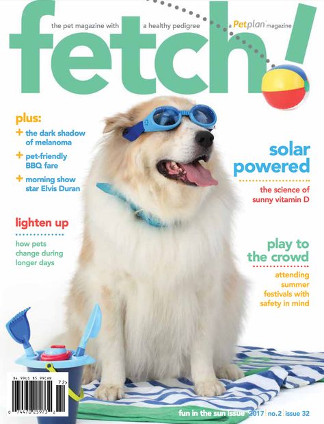 Pet Magazine Cover, Animal Magazine Cover, Pet Magazine, Street Magazine, Animal Magazines, Dog Magazine, Dog Cover, Pet Design, Interesting Animals