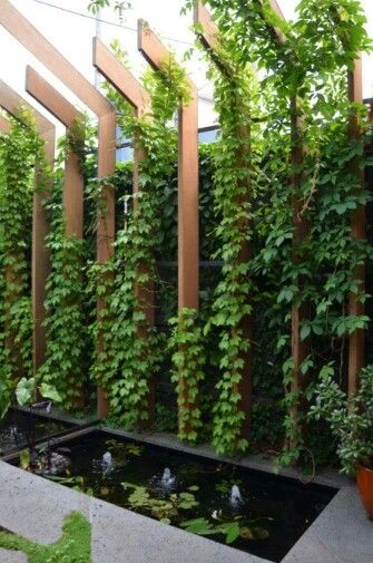 Pergola With Vines, Side Pergola, Canopy With Lights, Privacy Screen Ideas, Courtyard Plants, Creating A Garden, Garden Screens, Privacy Ideas, Fence Privacy