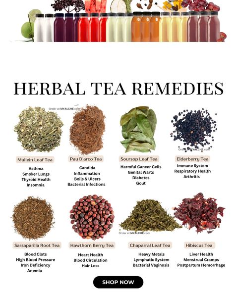 @MYALCHE Natural, Herbal Tea Remedies🫖 Shop at MYALCHE.com Medicinal Teas Recipes, Healthy Herbal Teas, Chai Tea Benefits Health, Medicinal Tea Recipes, Herb Business, Medicinal Teas, Herbal Knowledge, Herbal Tea Recipes, Different Teas