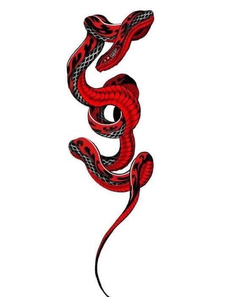 Red Snake Tattoo, Black Red Tattoo, Snakes Tattoo, Polka Tattoo Designs, Black Snake Tattoo, Trash Polka Tattoos, Red And Black Snake, Trash Polka Tattoo Designs, Cobra Tattoo