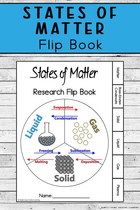 States Of Matter Coloring Page, States Of Matter 3rd Grade, Matter Activities For Kids, State Of Matter Project Ideas, Changes In States Of Matter, Matter Science Activities, Biology Basics, States Of Matter Activities, Matter Experiments