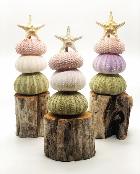 Sea Urchin Christmas Ornaments, Sea Urchin Ornaments, Sea Urchin Shell Crafts, Sea Urchin Craft, Coastal Crafts, Sea Urchin Shell, Felted Christmas, Christmas Festivities, Hawaiian Christmas