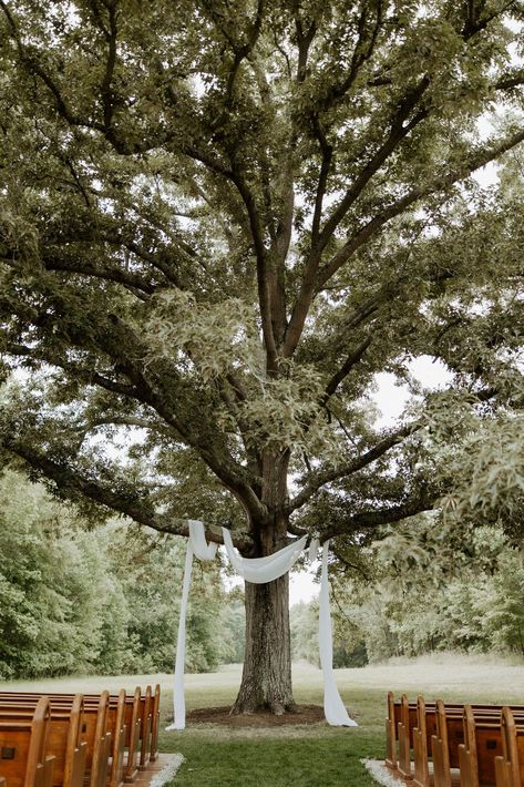 Small Intimate Ceremony, Inexpensive Outdoor Wedding Ideas, Outdoor Ceremony Simple Decor, Outdoor Pasture Wedding Ceremony, Country Cottage Wedding Ideas, Wedding Venues Field, Spring Aesthetic Wedding, Creekside Wedding Ceremony, Wedding Venue Field