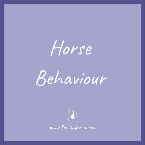 Follow this board for information and tips about horse behavior (equine behaviour) from an alternative, holistic, and spiritual perspective. Learn how to understand horse behavior signs and what they mean, all about horse language, horse behavior charts and more. Horse Language, Horse Behavior, Behavior Charts, Animal Communication, Behavior Chart, Behaviour Chart, All About Horses, Horse Health, Communication