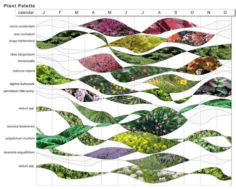 Landscape Architecture Color Palette, Planting Palette, Seasonal Plants, Garden Diagram, Plant Pallet, Plant List Landscape Design, Plant Palette, Planting Palette Landscape Architecture, Plant Palette Landscape Architecture