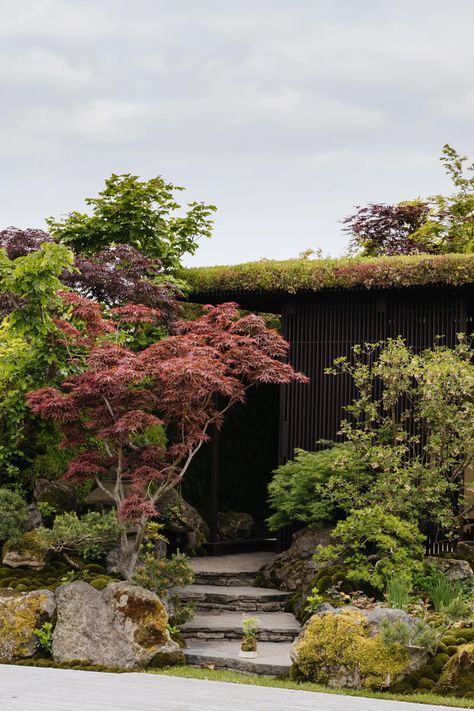 Chelsea Flower Show Gardens, Hamptons Garden, Chelsea Garden, Rhs Chelsea Flower Show, British Garden, Fragrant Plant, Best In Show, Mediterranean Garden, Small Outdoor Spaces