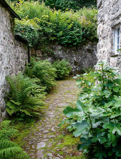 Woodland Garden, Garden Pathway, Natural Garden, Courtyard Garden, Shade Garden, Front Garden, Garden Paths, Dream Garden, Small Garden