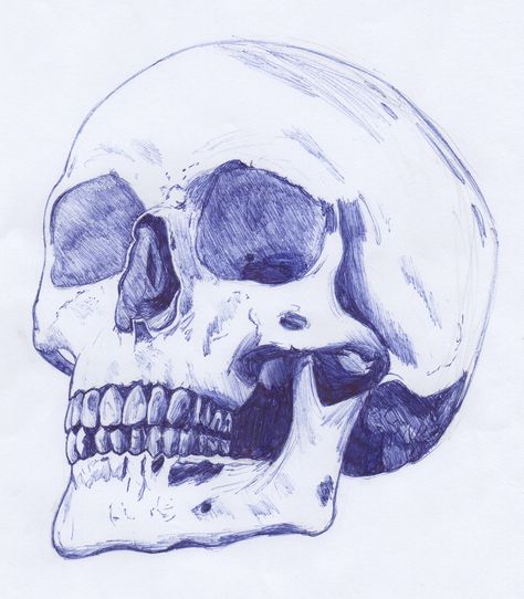 Blue Ballpoint Pen illustration of a Human Skull Ballpoint Pen Art Easy, Stylo Art, Biro Art, Ballpoint Pen Art, Pen Art Work, Skull Sketch, Alien Drawings, Blue Drawings, Paper Art Design