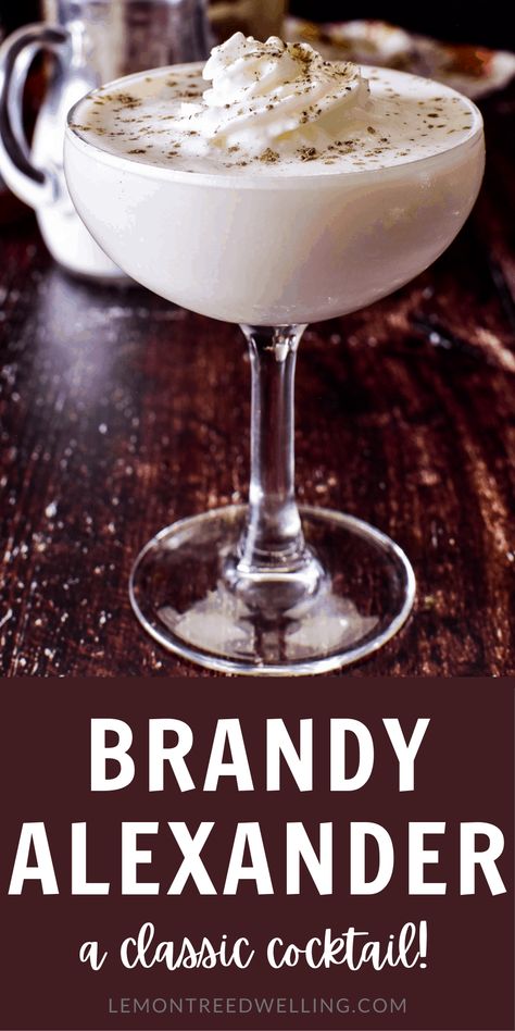 Brandi Alexander Recipe, Brandy Alexander Recipe, Brandy Alexander, Boozy Drinks, Rum Drinks, Mixed Drinks Recipes, Favorite Dessert, Cocktail Desserts, Cocktail Drinks Recipes