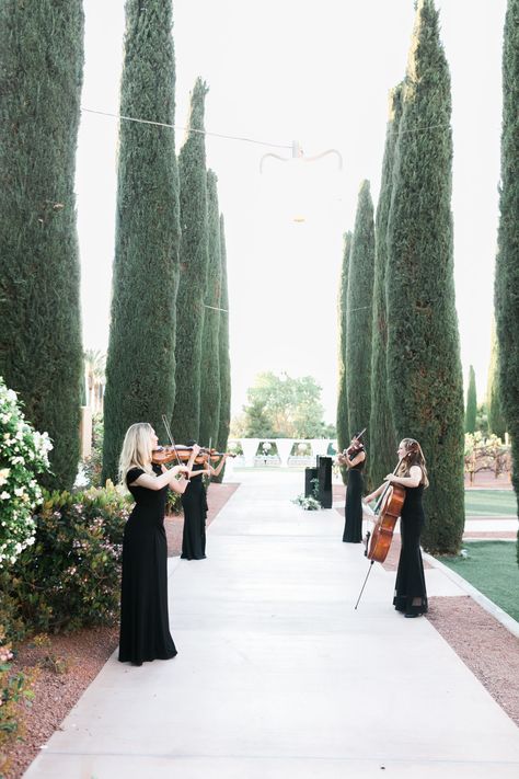 Black White Palette, Biltmore Wedding, Dream Wedding Decorations, White Palette, Dream Wedding Venues, Lake Como Wedding, Wedding Venue Decorations, Black White Wedding, Future Wedding Plans