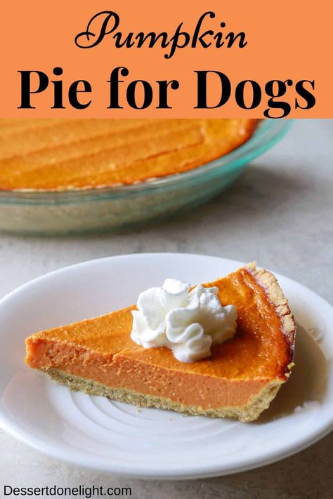 Dogs go crazy for this pumpkin pie! It's made with wholesome ingredients that you can feel good about. Plus, it's super easy to make! Dog Pumpkin Treats Recipes, Dog Pie Recipe, Pumpkin Pie Recipe For Dogs, Pies For Dogs, Dog Pumpkin Pie Recipe, Dog Pumpkin Pie, Doggie Pumpkin Pie, Pie For Dogs, Dog Friendly Pumpkin Pie