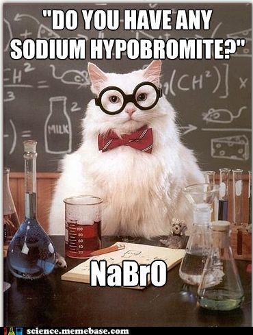 Chemistry Cat @Angel Kittiyachavalit Kittiyachavalit Kittiyachavalit Edwards DeSecki O'Connell Nerd Jokes, Chemistry Cat, Science Cat, Chemistry Puns, Cat Wearing Glasses, Nerdy Jokes, Image Meme, Science Puns, Chemistry Humor