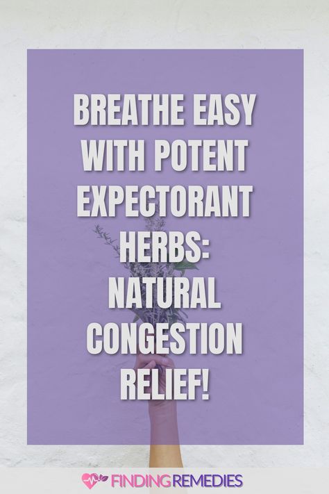 Breathe Easy with Potent Expectorant Herbs: Natural Congestion Relief! Herbal Remedies For Congestion, Natural Mucus Expectorant, Expectorant Herbs, Herbal Expectorant, Natural Expectorant, Natural Remedies For Congestion, Mucus Relief, Homemade Cough Syrup, Natural Decongestant