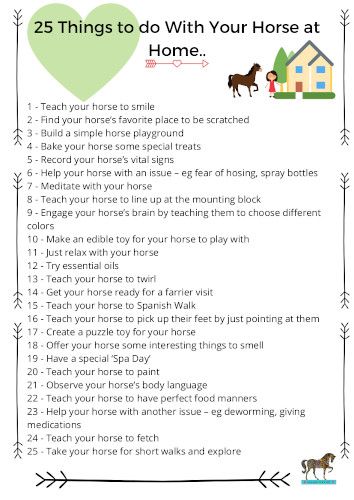 Fun Things To Do With Horses, Fun Stuff To Do With Your Horse, Horse Tricks Ideas, Things To Do With Horses, Horses At Home, Horses Training, Fun Things To Do With Your Horse, Horse Tips And Tricks, Horse Tricks