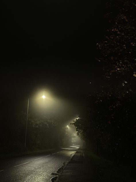 #darkasthetic #streetlight #misty Halloween, Collage, Misty Night, Night Scenery, Street Lights, Street Light, Juno, Pins, Quick Saves