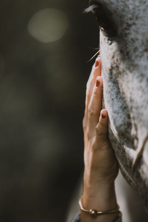 Check out the results of Chloe's photo shoot with her horse. We aimed for a dreamy look together with some creative shots. Learn more about how a photo shoot can go and how I set up the event. equine art | equine photography poses photo shoots | horse images | horse photography aesthetic Horse Picture Ideas Photo Shoots, Horse Lifestyle Photography, Poses With Horses Photography, Horse Details Photography, Horse Photography Poses Photo Shoots, Equine Portrait Photography, Equine Photography Poses Photo Shoots, Mini Horse Photo Shoot, Girl With Horse Photograph