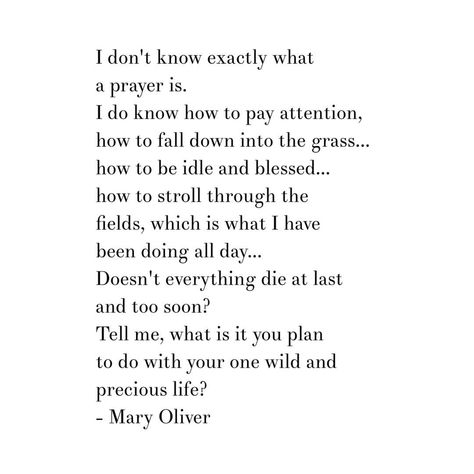 Mary Oliver quote from One Summer Day poem. Tell me, what is it you plan to do with your one wild and precious life? Robert Kiyosaki, One Wild And Precious Life, Wild And Precious Life, Mary Oliver Quotes, Mary Oliver Poems, Quotes Dream, Mary Oliver, Poetry Words, Literary Quotes