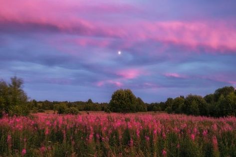 Pretty Landscapes, Purple Sky, Pretty Sky, Pretty Photos, Laptop Wallpaper, Nature Aesthetic, Pretty Places, Sky Aesthetic, Mother Earth