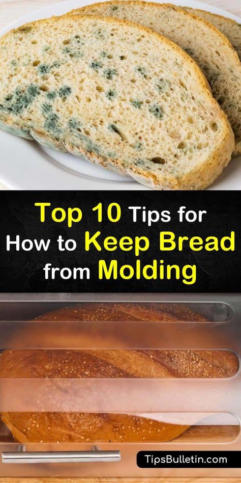 Find out the best ways to store bread to prevent it from developing mold, whether it's a whole loaf or sliced bread. At room temperature, try using a bread box or a sealed paper bag, or place your loaf of bread in the fridge or freezer. #bread #storage #mold #prevent Freezer Bread, Artesian Bread, Pullman Bread, Bread Dipping, Bread Slicer, How To Store Bread, Vegetable Benefits, Bread Mold, Bread Storage